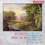 Beethoven: Serenade - Trio - Duo